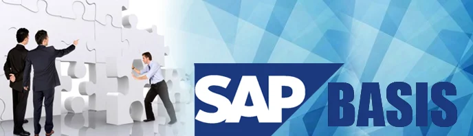 SAP_BASIS